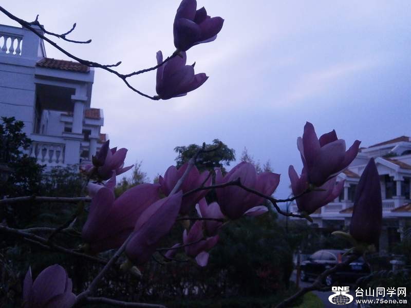 P3041536.jpg
