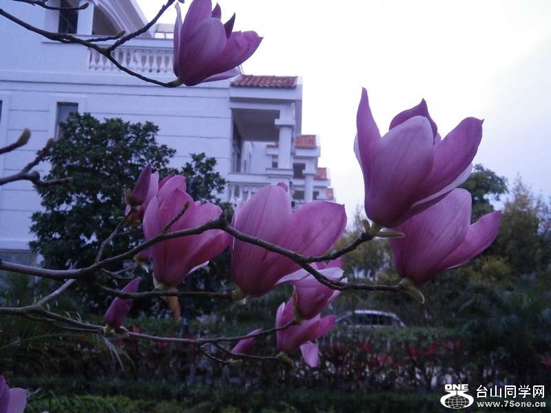 P3041537.jpg