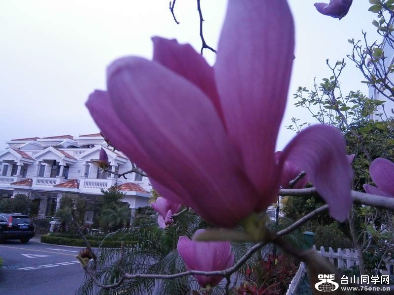 P3041531.jpg