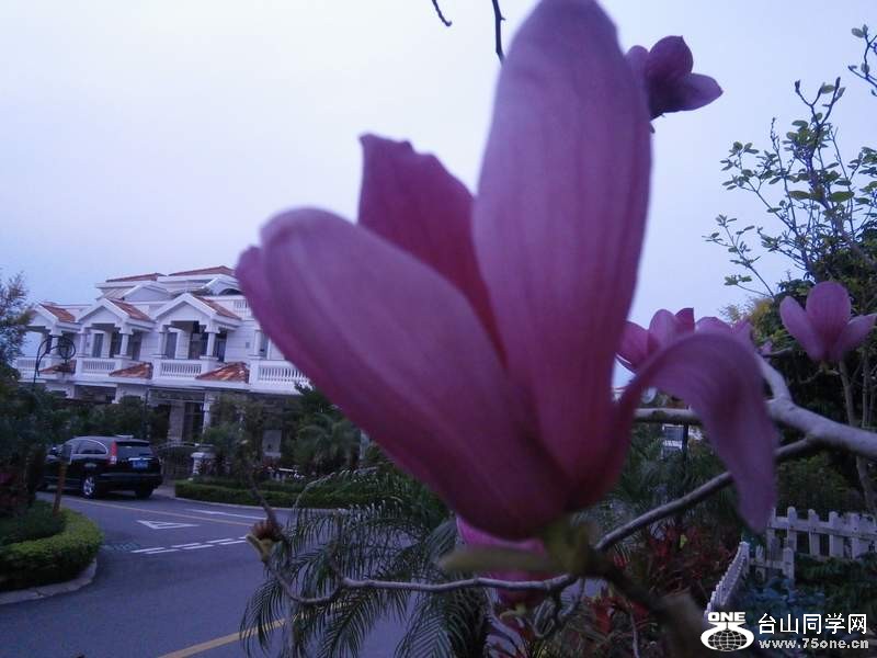 P3041532.jpg