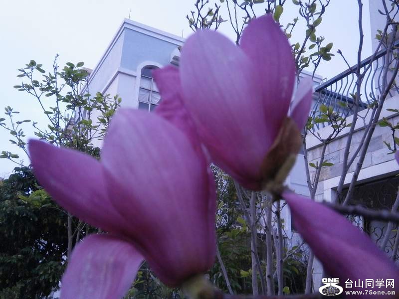 P3041513.jpg