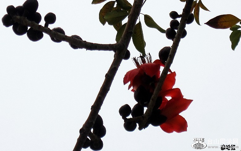 2012225 092_conew2.jpg