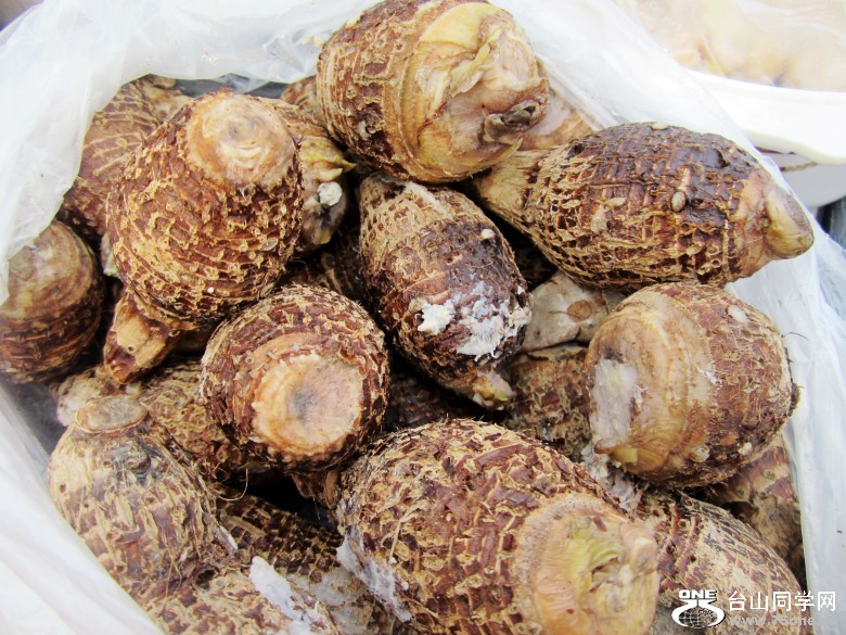 3.8节 120_conew1.jpg