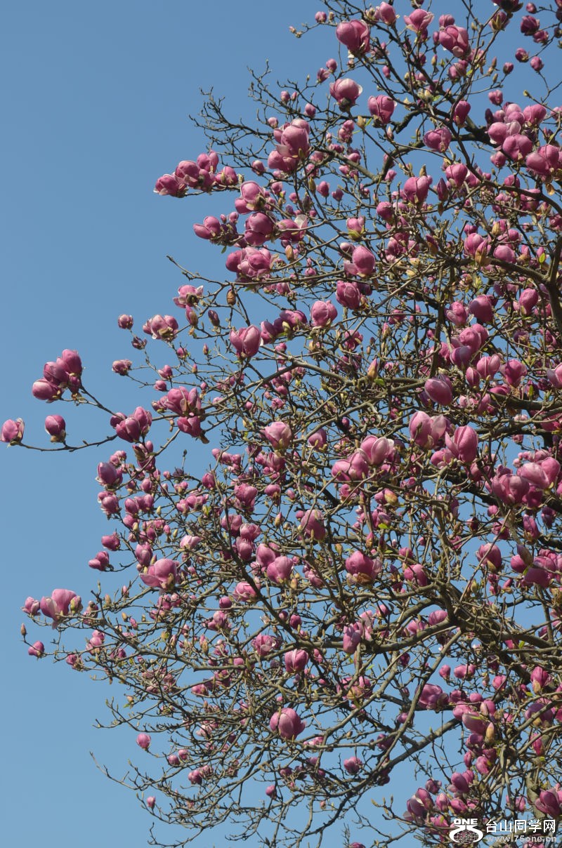 Spring 024.jpg