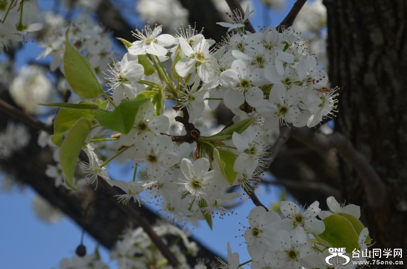 Spring 006.jpg