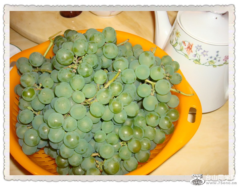 DSC07489_.jpg