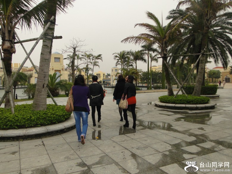 DSC06701_conew1.jpg
