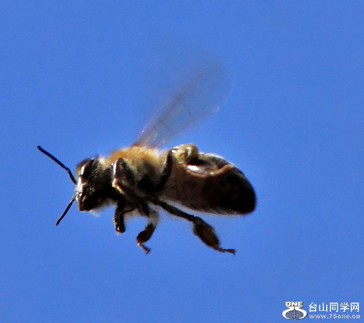 }u -» 123a3w0012.jpg