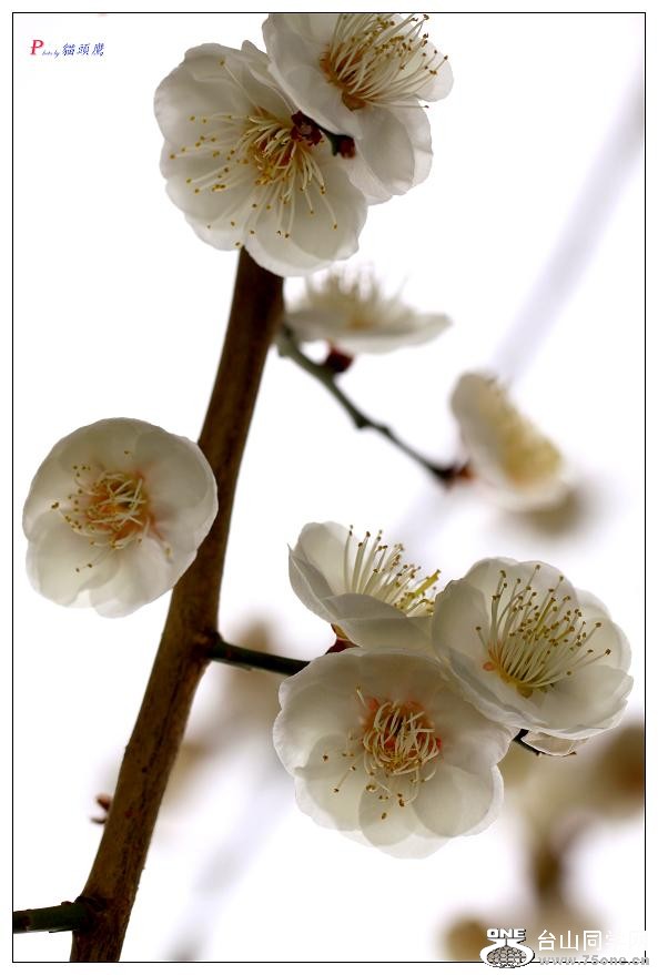 }u -÷2012-2 103-a.jpg