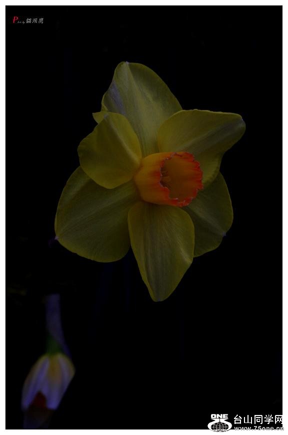 }u -ձ@12-1 735-x.jpg