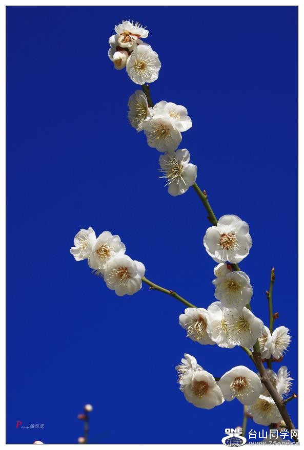 }u -÷2012-2 293-c.jpg