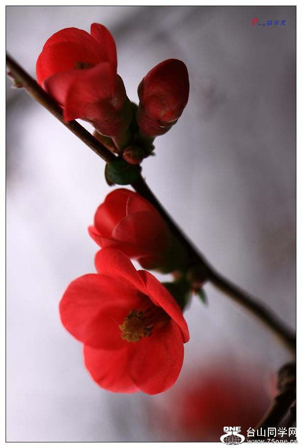 }u -÷2012-2 061-a.jpg