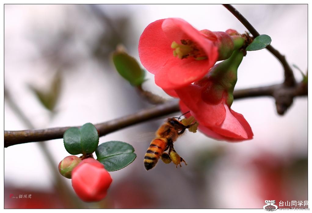 }u -» 202-o1-2s.jpg