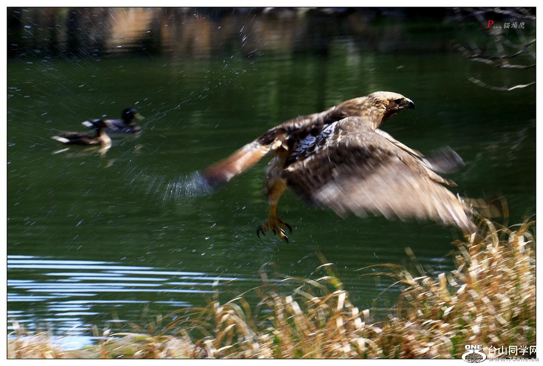 }u -ձ@12-1 280-1a.jpg