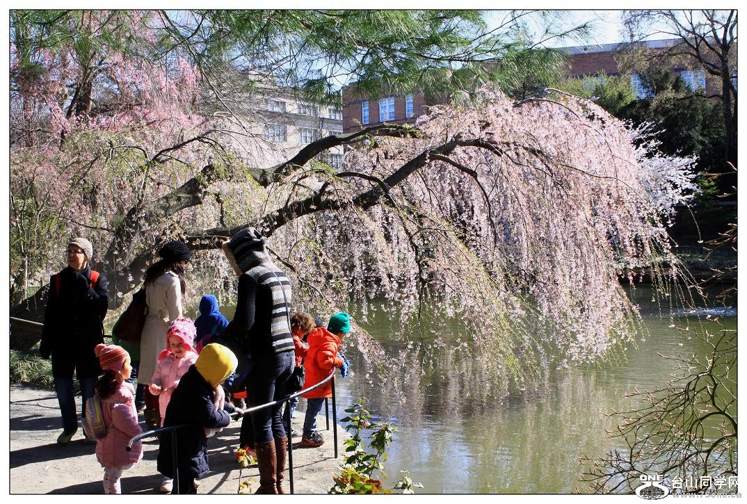 }u -ձ@12-2 119-a.jpg