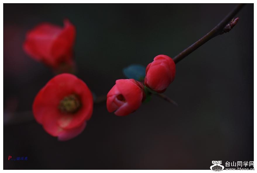 }u -÷2012-2 064a.jpg