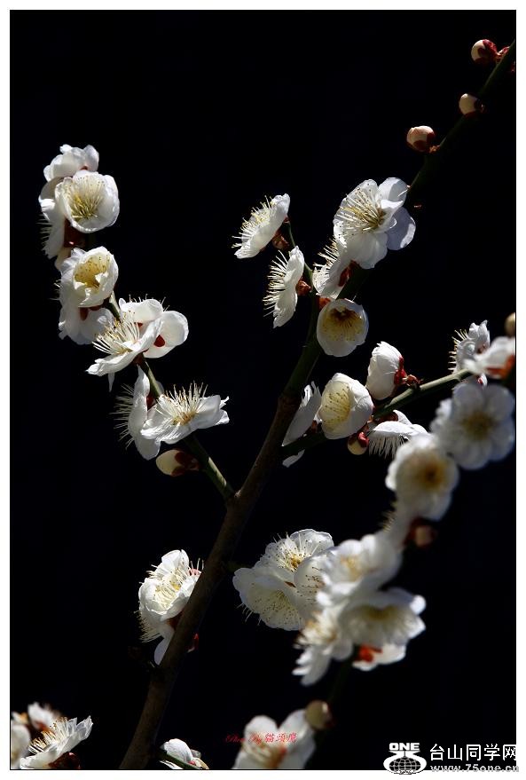 }u -÷2012-2 326-a.jpg