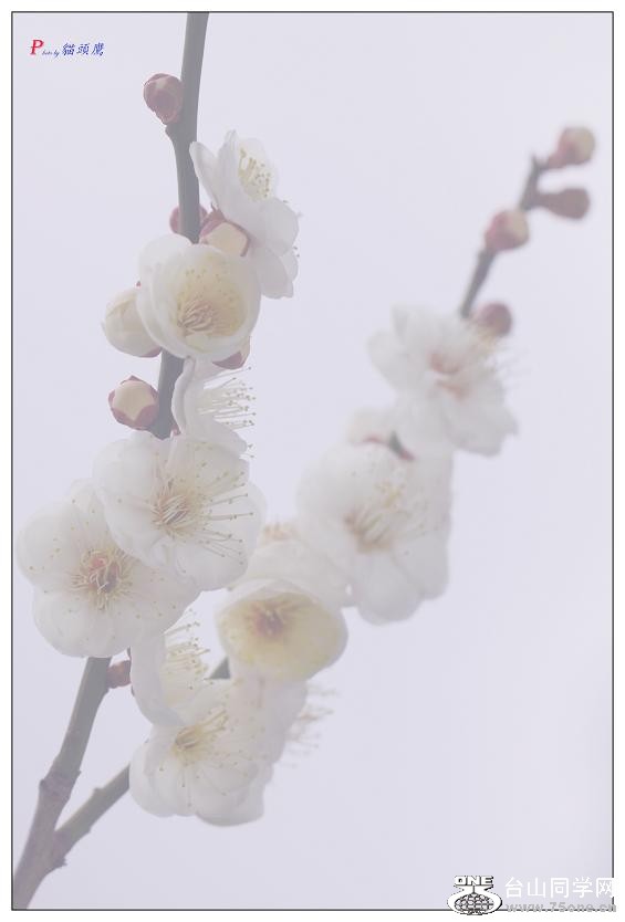 }u -÷2012-2 029-a.jpg