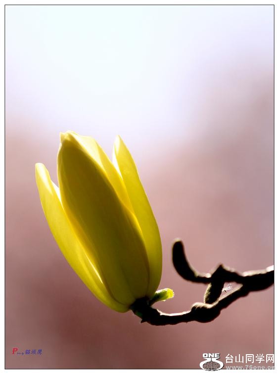 }u -ձ@12-2 295-a.jpg