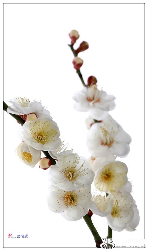 }u -÷2012-2 118-c.jpg