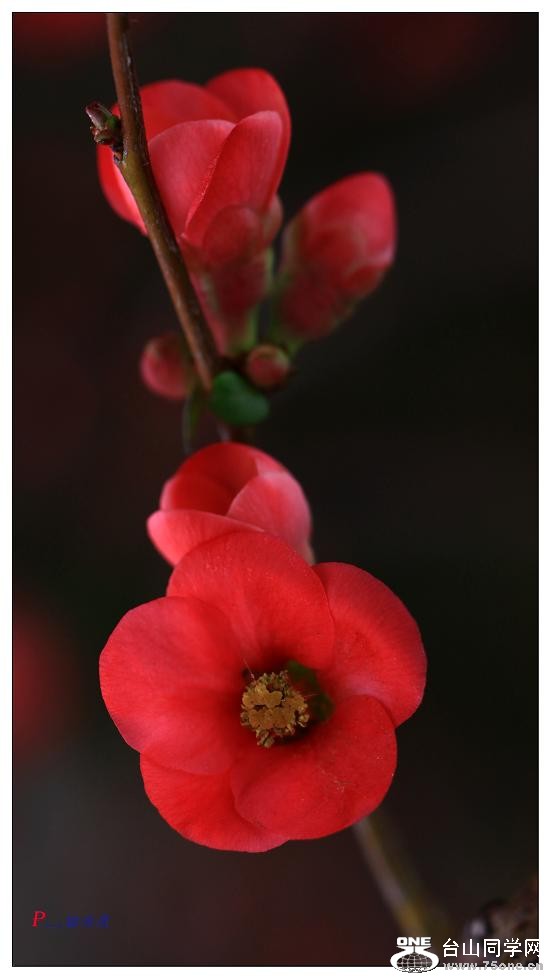 }u -÷2012-2 047-c.jpg