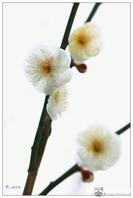 }u -÷2012-2 085-av.jpg