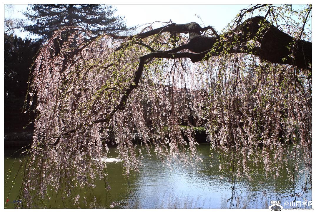 }u -ձ@12-2 168-a.jpg