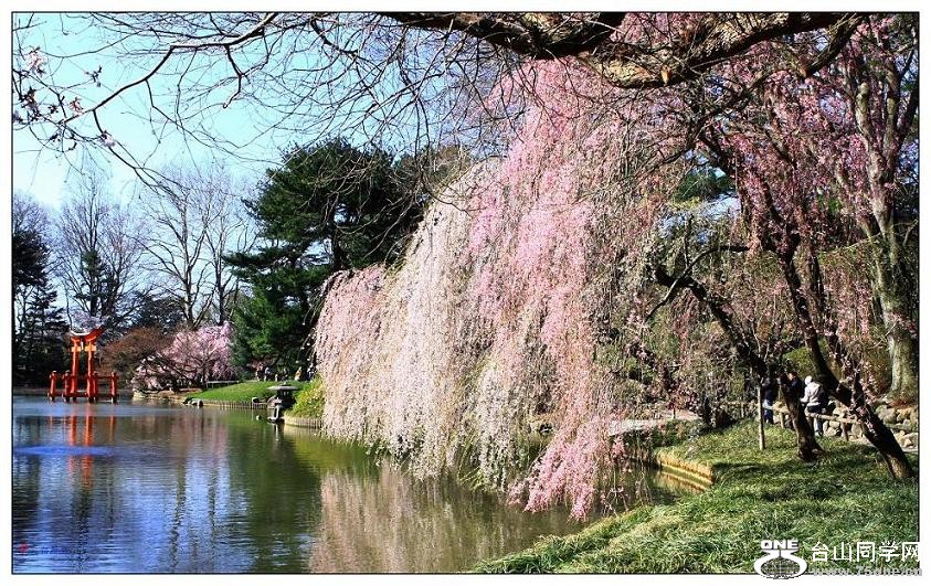 }u -ձ@12-2 110-a.jpg