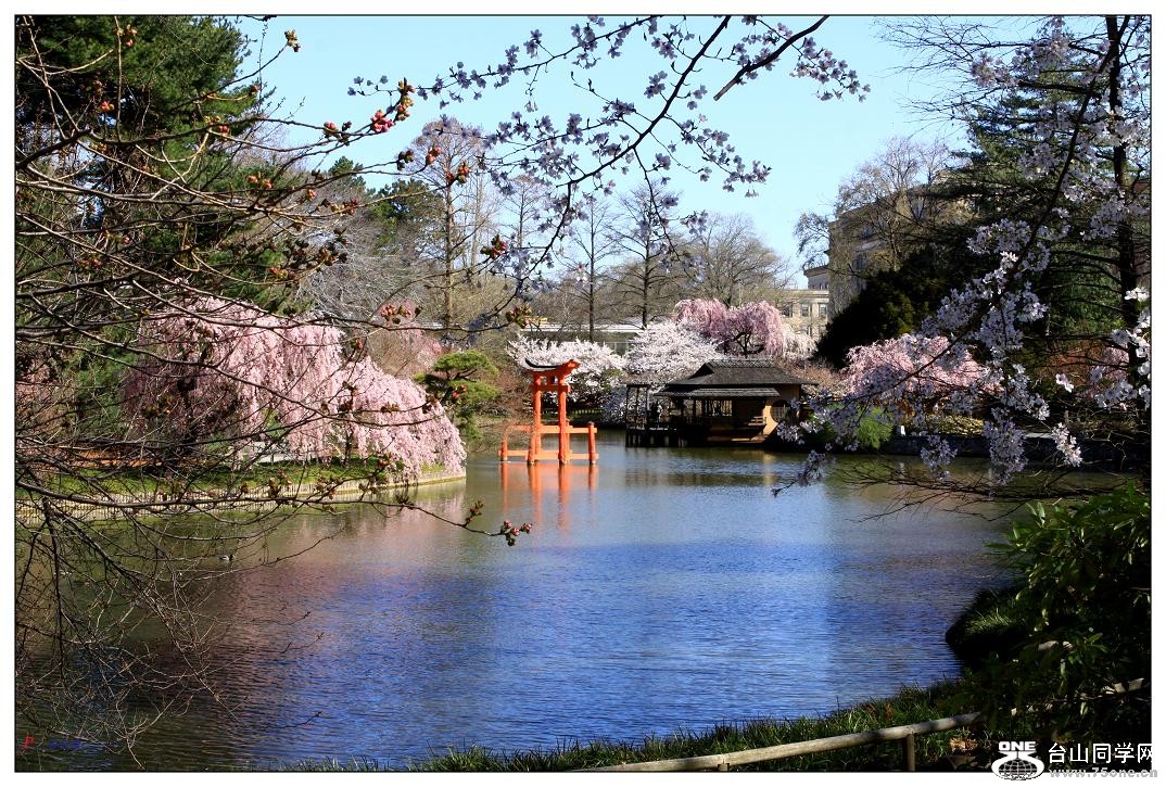 }u -ձ@12-2 237-a.jpg