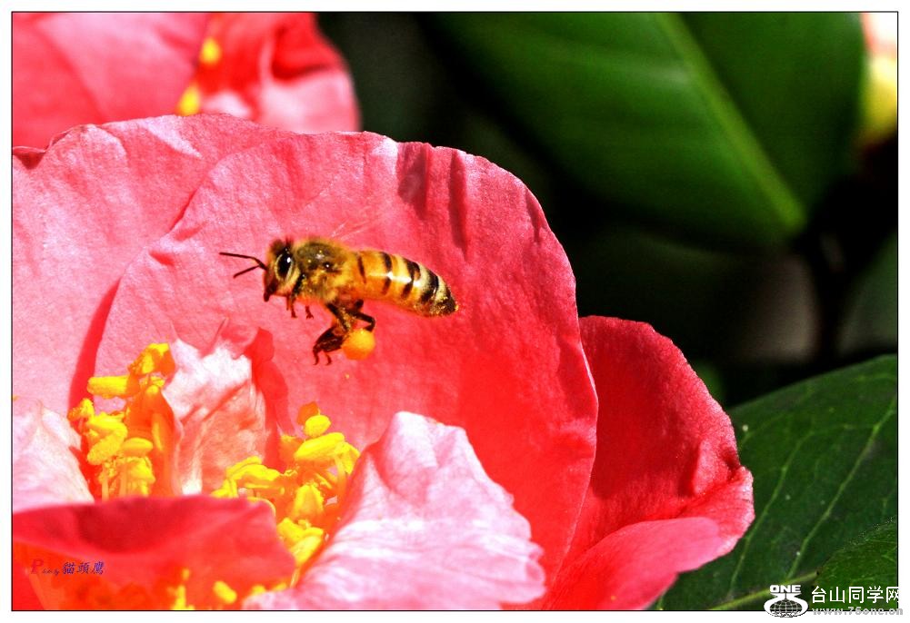 }u -}u -ձ@12-1 605-a3.jpg