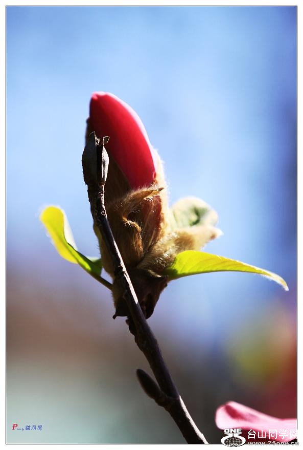 }u -ձ@12-2 304-a.jpg