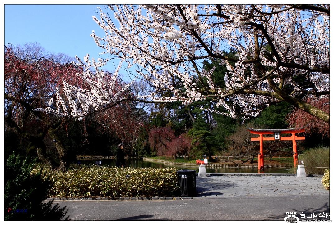 }u (2) -ձ@12-1 148-1.jpg