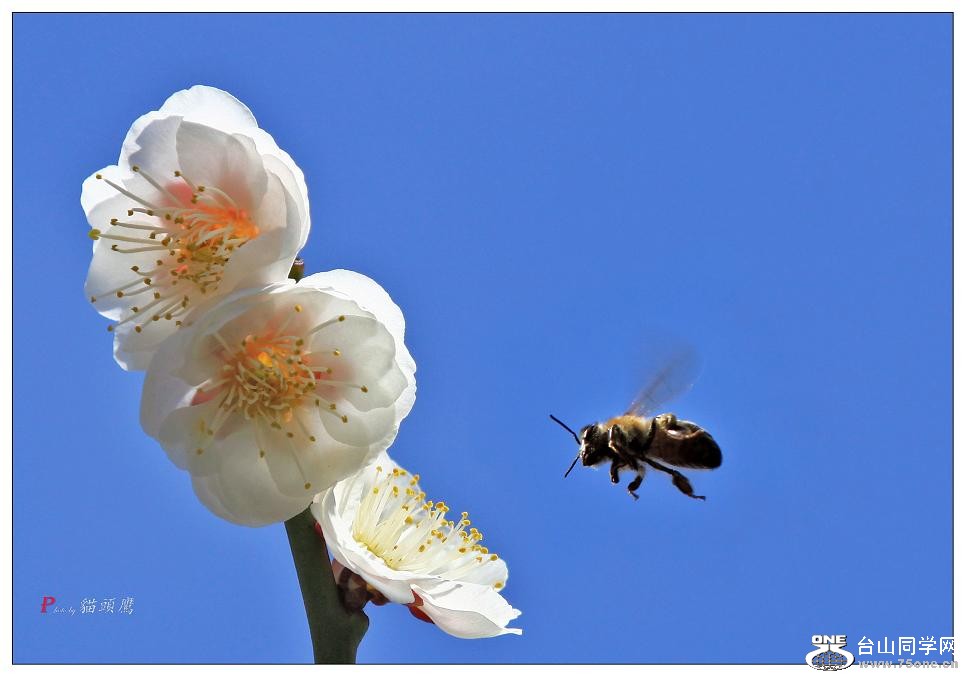 }u -}u -» 123a3w001.jpg