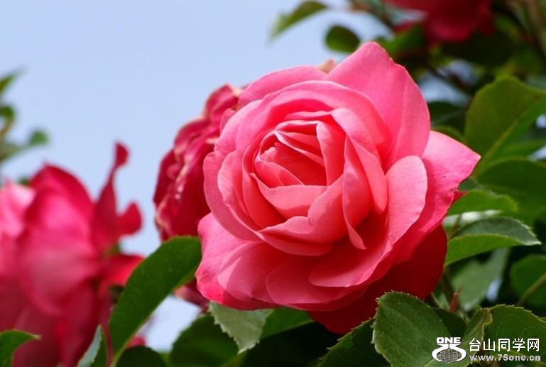 2_35655_bf4b8db87016f08.jpg