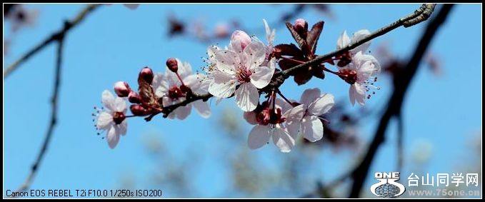 С IMG_2543.JPG