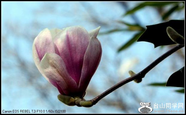 С IMG_2482.JPG
