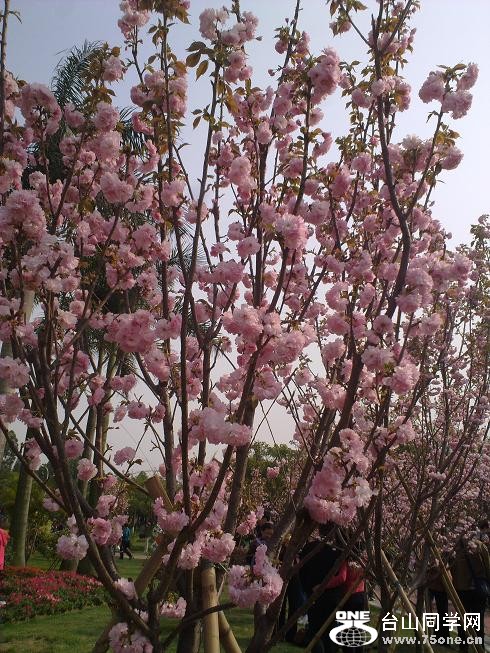 201203242574[2].jpg