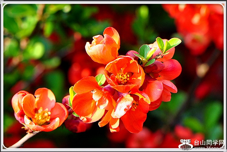 dsc_3395.jpg