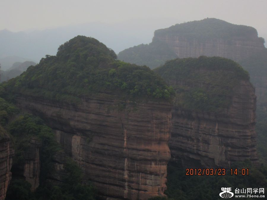 IMG_1035.jpg