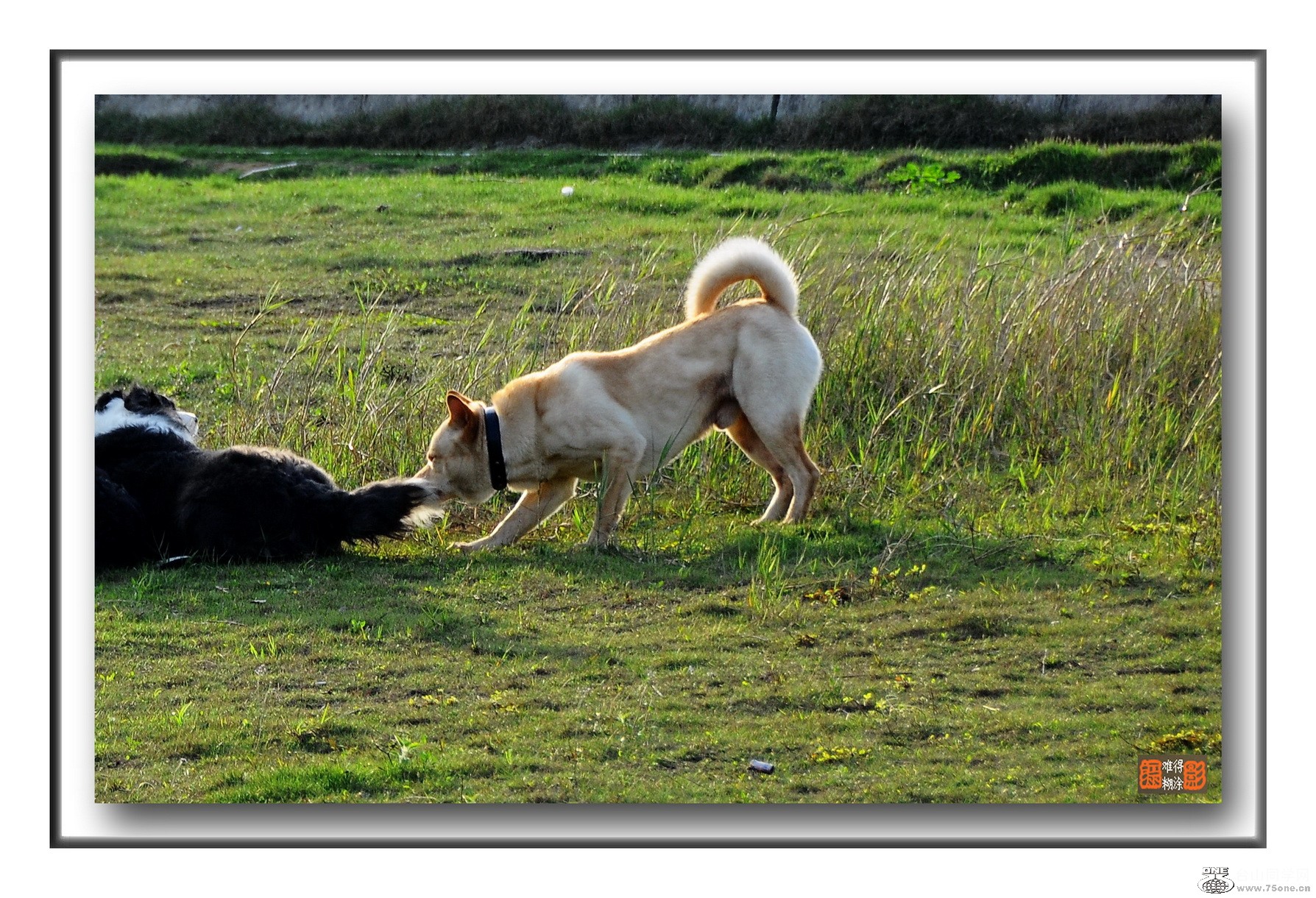 DSC_0341.jpg