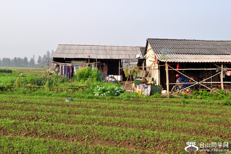 DSC_3841.JPG