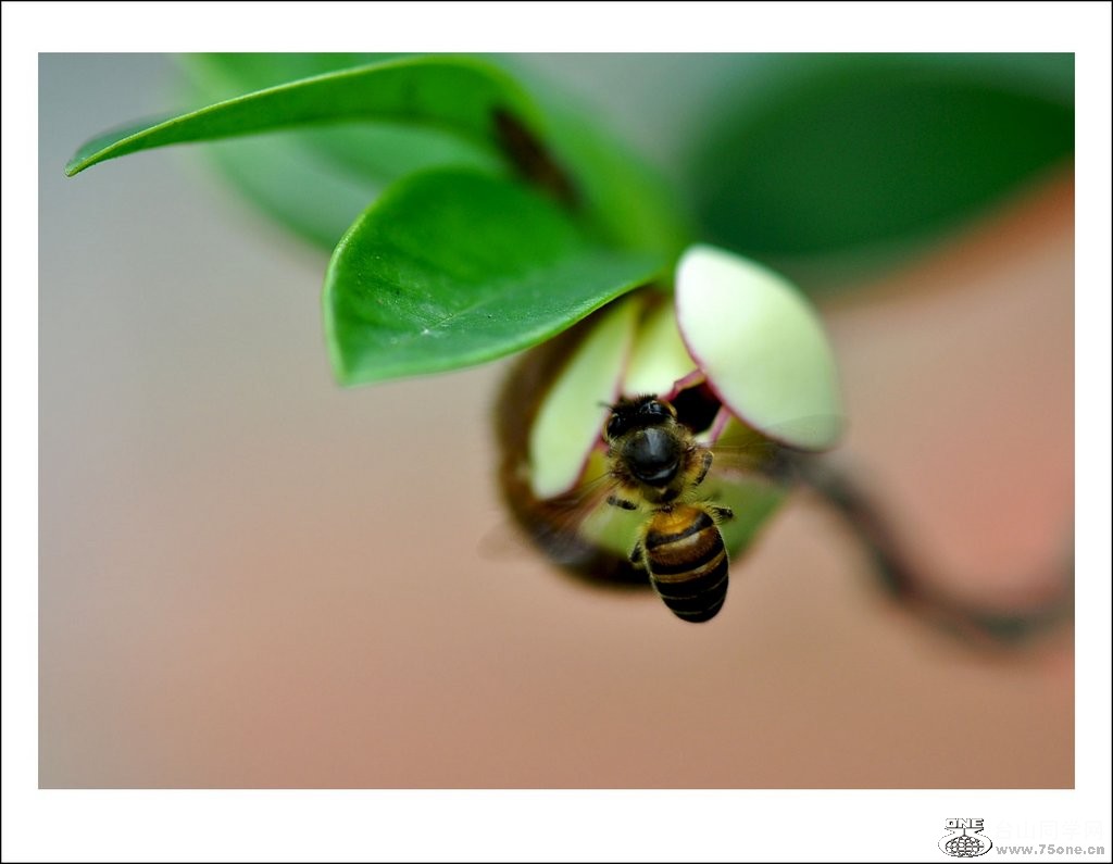 nEO_IMG_DSC_0108_conew1.jpg