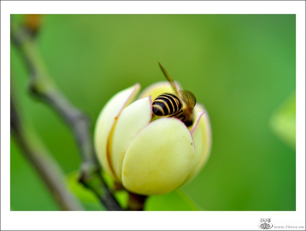 nEO_IMG_DSC_0135_conew1.jpg