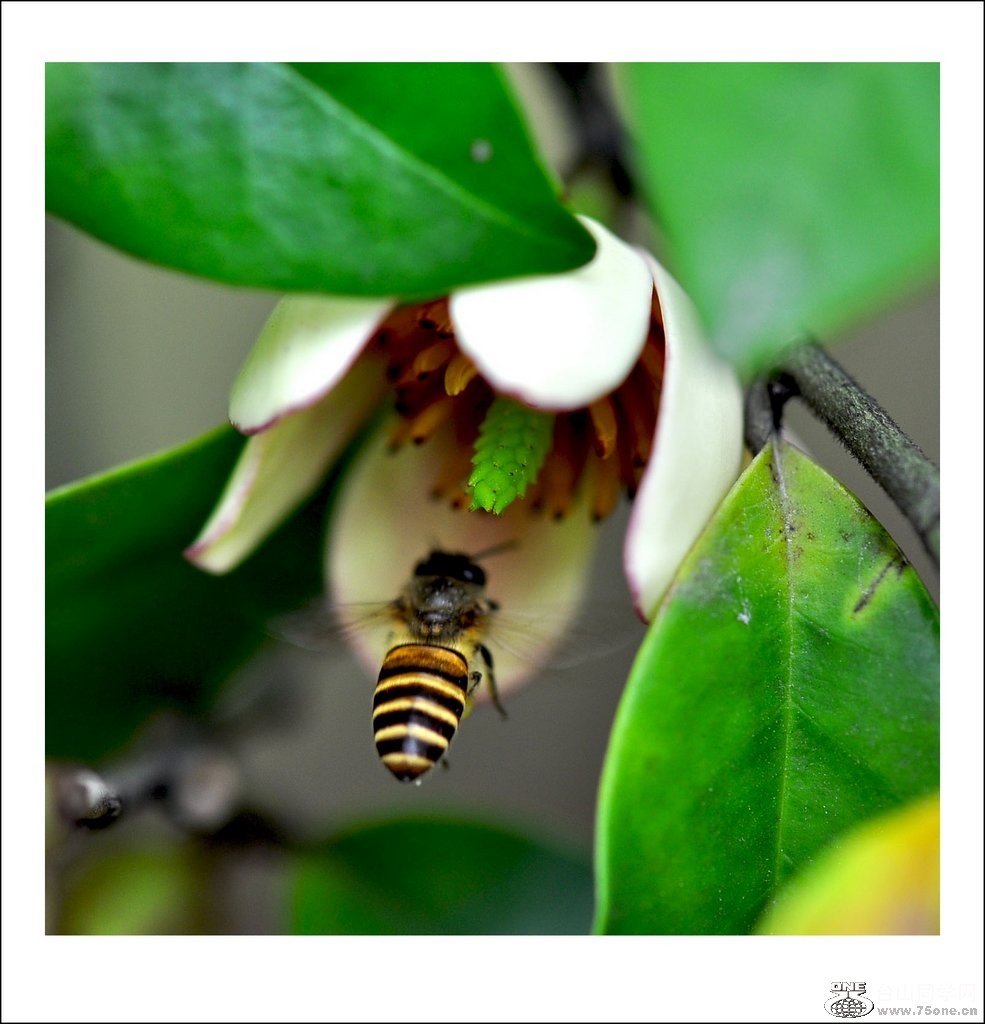 nEO_IMG_DSC_0237_conew1.jpg