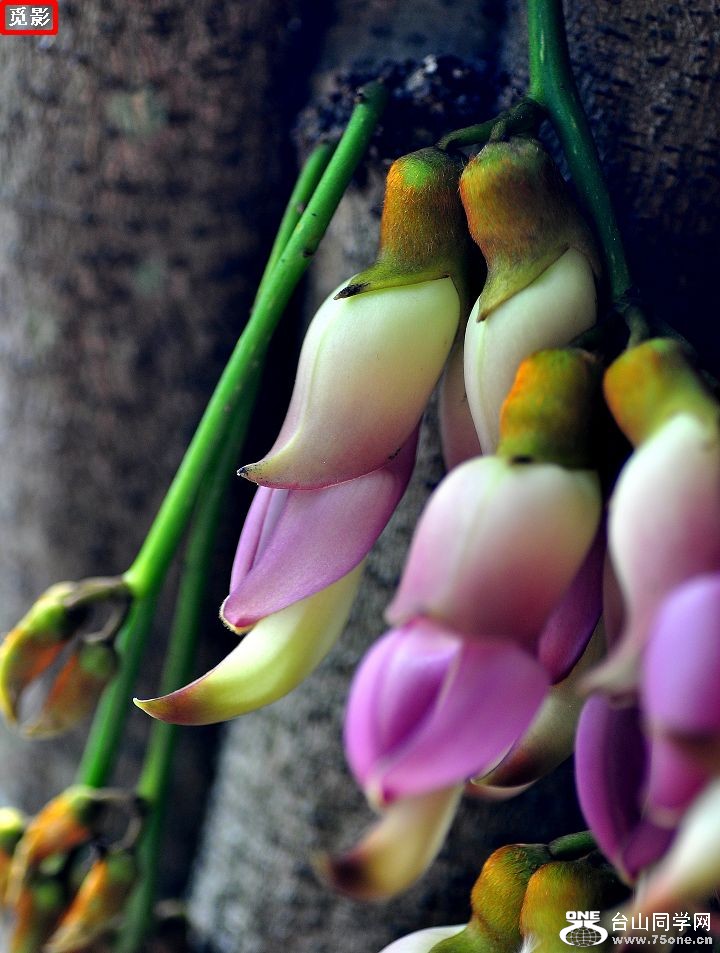 DSC_5697a.jpg