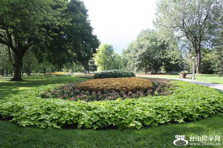Picture 049 (Small).jpg