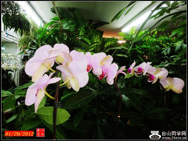 DSC03576_.jpg