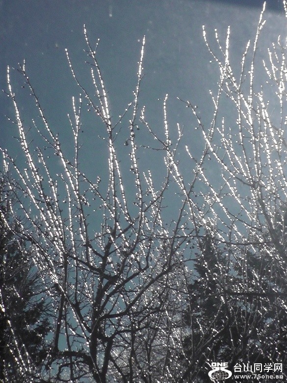 2012_032010028.JPG