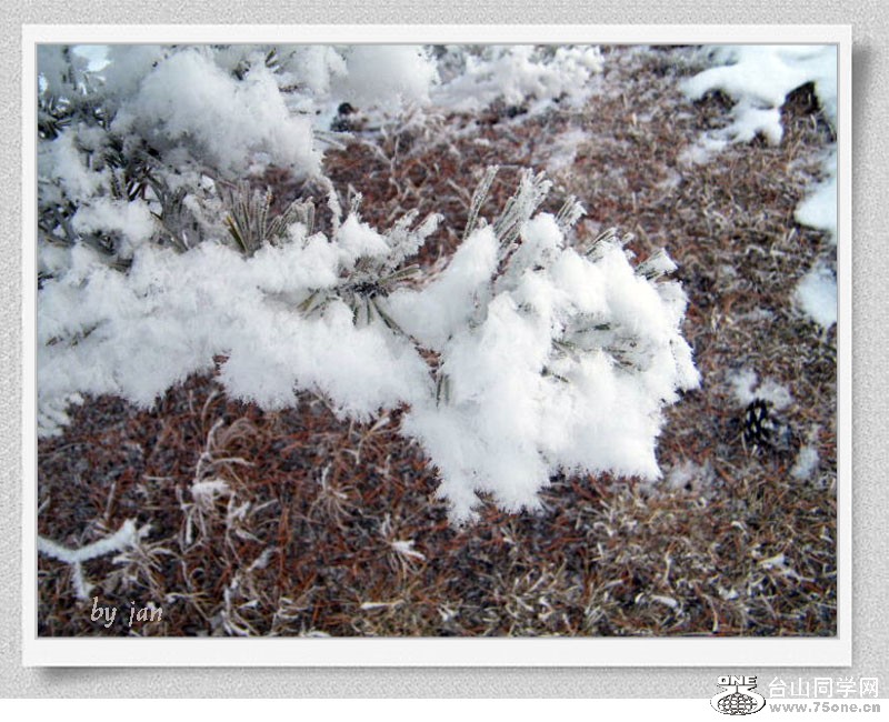 DSCF2095=.jpg