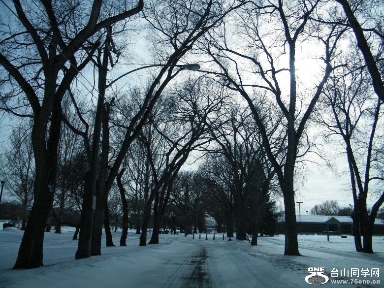 DSCF2450.JPG